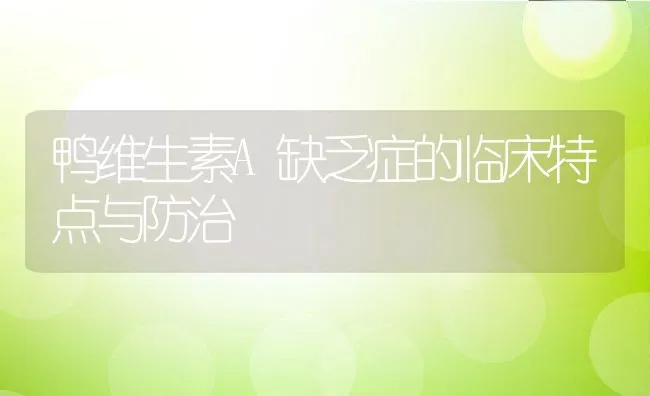 鸭维生素A缺乏症的临床特点与防治 | 动物养殖学堂