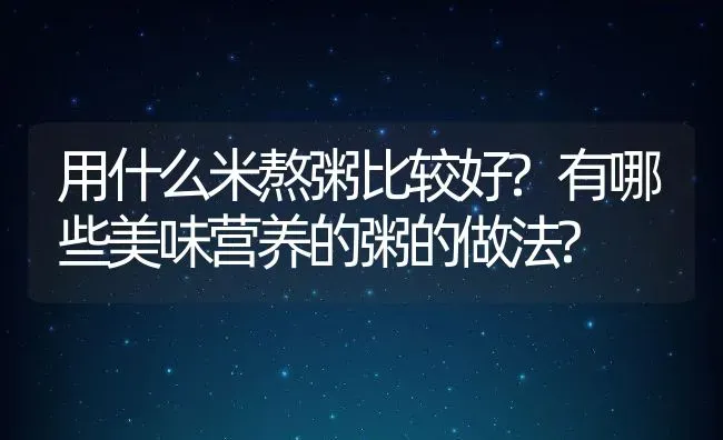 用什么米熬粥比较好?有哪些美味营养的粥的做法? | 动物养殖百科