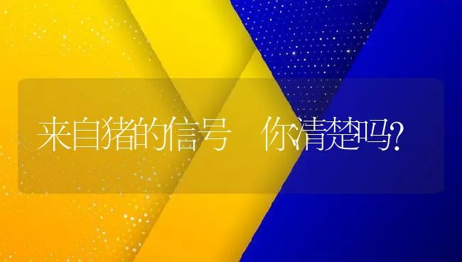 来自猪的信号 你清楚吗？ | 动物养殖学堂