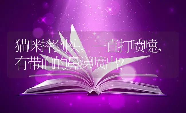 比熊犬六个月，为什么一边有黑眼圈一边没有黑眼圈！懂犬的大神帮忙解答一下？ | 动物养殖问答