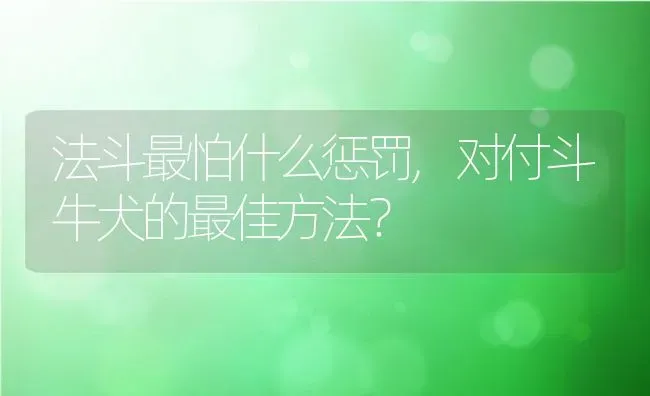 法斗最怕什么惩罚,对付斗牛犬的最佳方法？ | 宠物百科知识