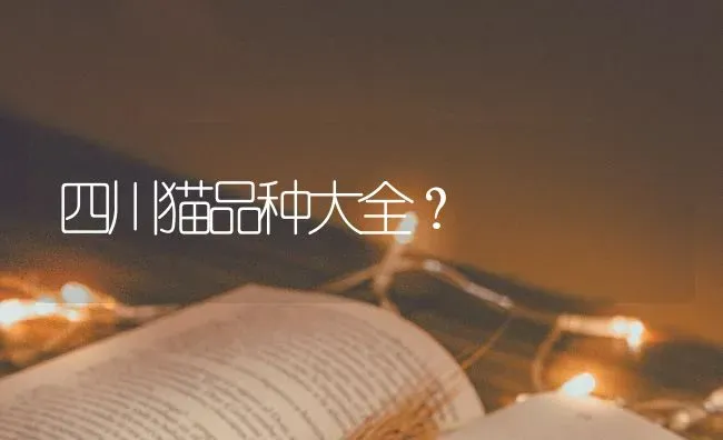 我这是不是博美，毛怎么不长？ | 动物养殖问答