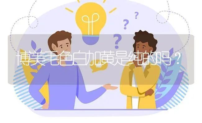 博美毛色白加黄是纯的吗？ | 动物养殖问答