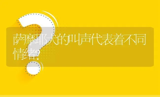 萨摩耶犬的叫声代表着不同情绪？ | 动物养殖问答