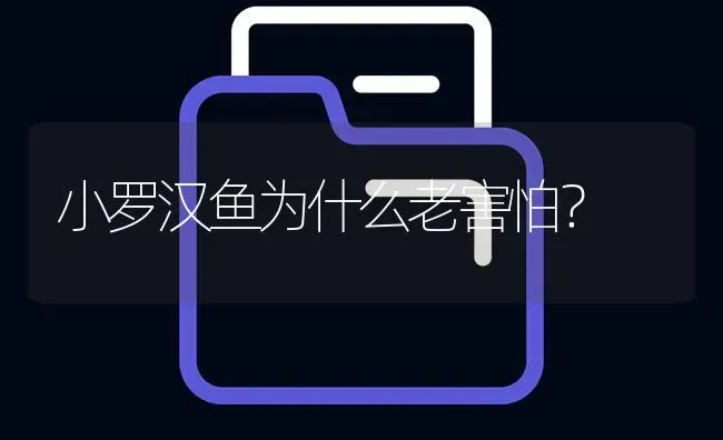 小罗汉鱼为什么老害怕？ | 鱼类宠物饲养