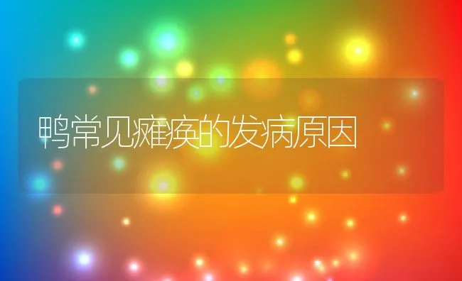 鸭常见瘫痪的发病原因 | 动物养殖学堂