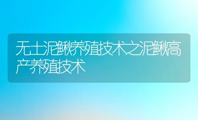 无土泥鳅养殖技术之泥鳅高产养殖技术 | 动物养殖教程