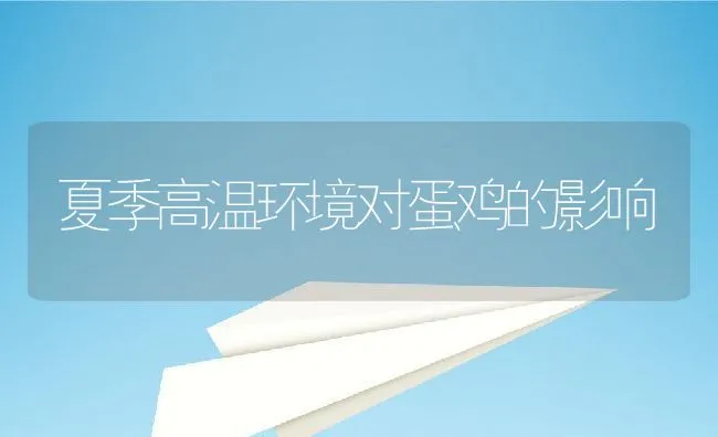 夏季高温环境对蛋鸡的影响 | 动物养殖学堂