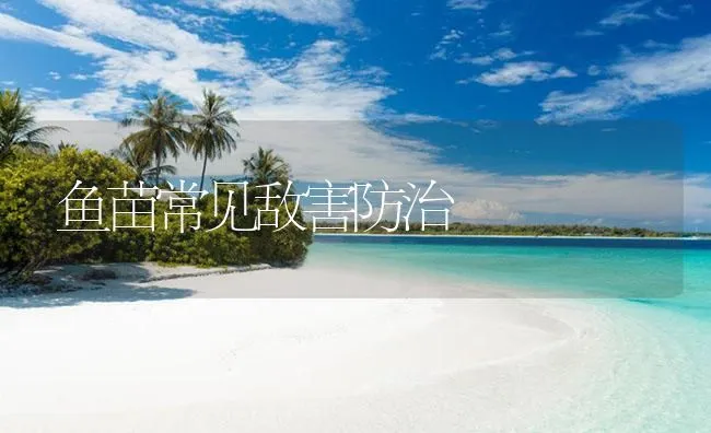 鱼苗常见敌害防治 | 海水养殖技术