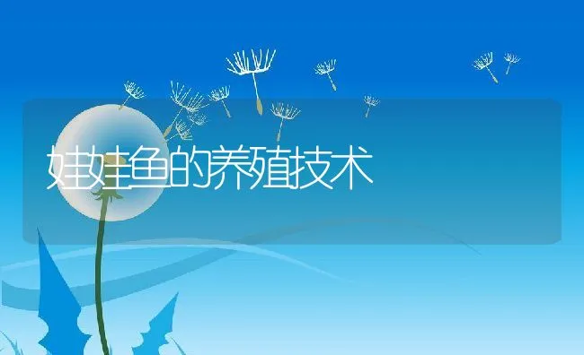 孔雀竹芋的养殖技巧 | 水产养殖知识