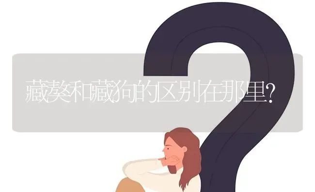 藏獒和藏狗的区别在那里？ | 动物养殖问答