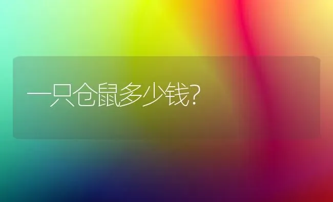 一只仓鼠多少钱？ | 动物养殖问答