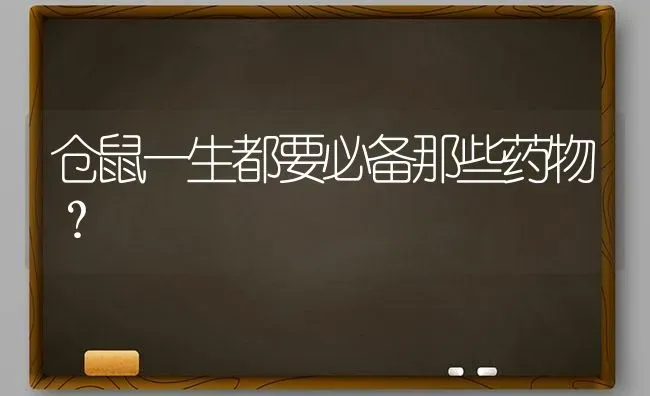 仓鼠一生都要必备那些药物？ | 动物养殖问答