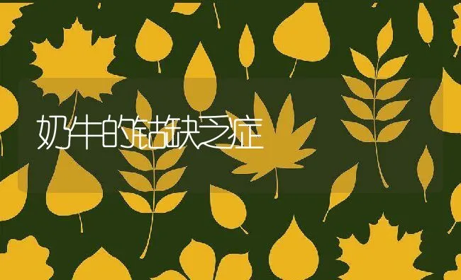 奶牛的钴缺乏症 | 动物养殖学堂