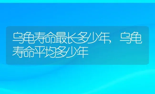 乌龟寿命最长多少年,乌龟寿命平均多少年 | 宠物百科知识