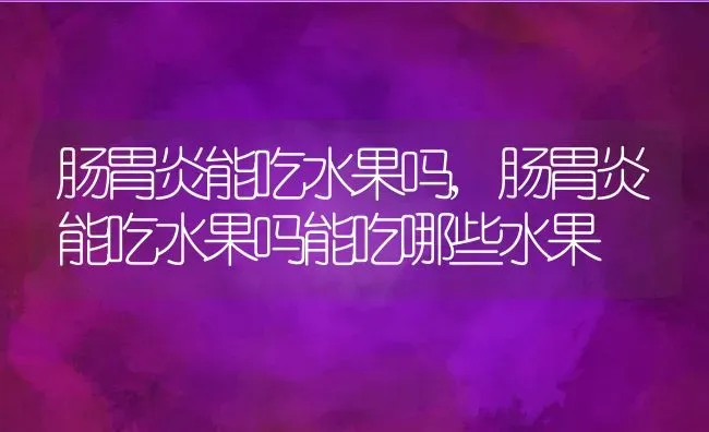 肠胃炎能吃水果吗,肠胃炎能吃水果吗能吃哪些水果 | 宠物百科知识