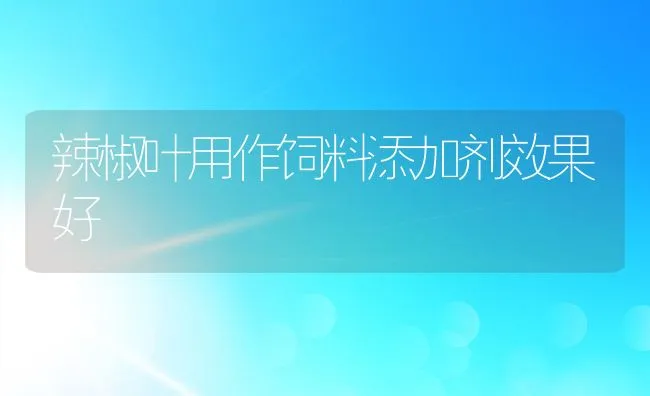 辣椒叶用作饲料添加剂效果好 | 动物养殖学堂