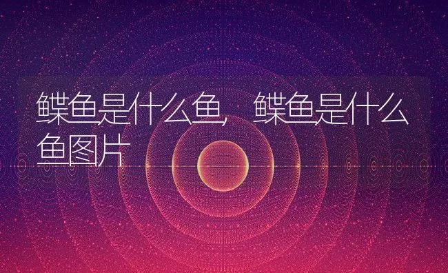 鲽鱼是什么鱼,鲽鱼是什么鱼图片 | 宠物百科知识