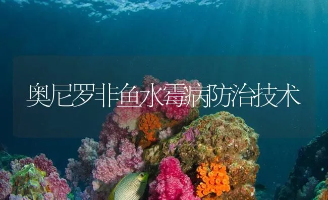 奥尼罗非鱼水霉病防治技术 | 海水养殖技术