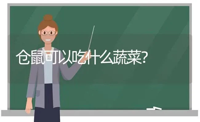 仓鼠可以吃什么蔬菜？ | 动物养殖问答