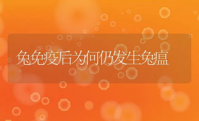 兔免疫后为何仍发生兔瘟 | 水产养殖知识