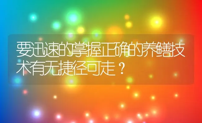 要迅速的掌握正确的养鳝技术有无捷径可走？ | 水产养殖知识