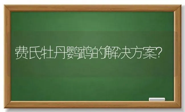 费氏牡丹鹦鹉的解决方案？ | 动物养殖问答