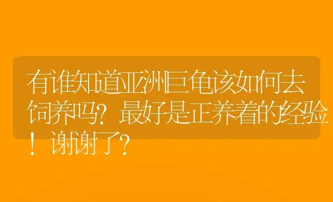 有谁知道亚洲巨龟该如何去饲养吗?最好是正养着的经验!谢谢了？ | 动物养殖问答