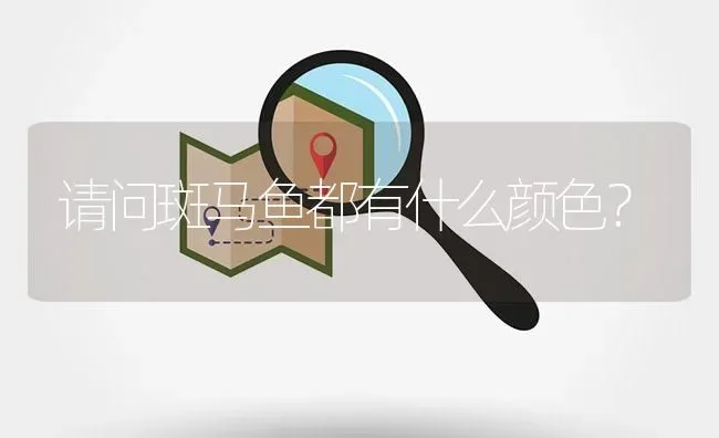 请问斑马鱼都有什么颜色？ | 鱼类宠物饲养