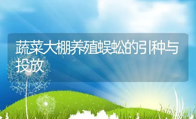 蔬菜大棚养殖蜈蚣的引种与投放 | 动物养殖教程