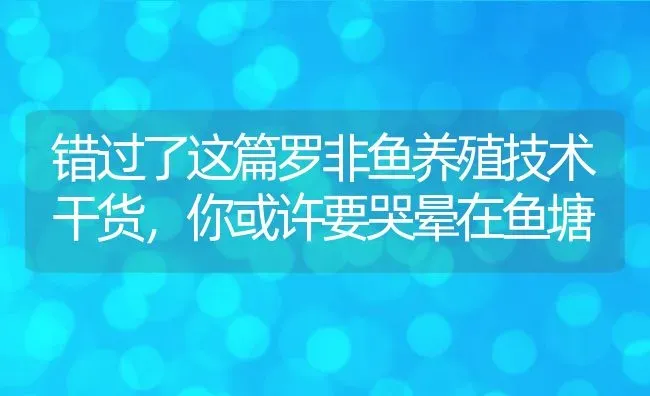 错过了这篇罗非鱼养殖技术干货，你或许要哭晕在鱼塘 | 动物养殖百科