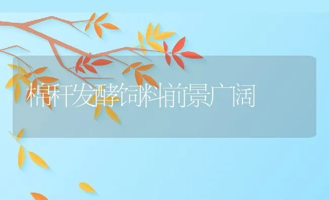 广东捕鱼新招：吊网法捕鱼 | 海水养殖技术