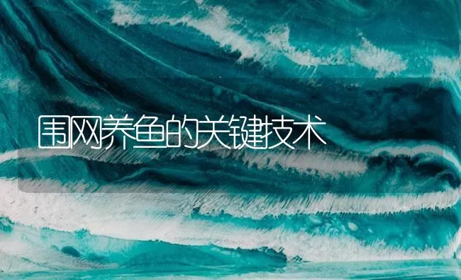 围网养鱼的关键技术 | 海水养殖技术