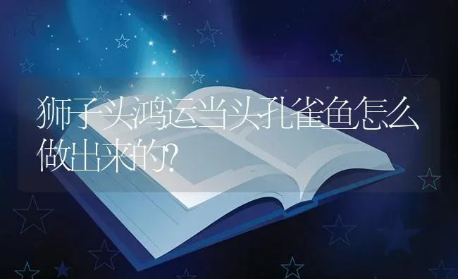 狮子头鸿运当头孔雀鱼怎么做出来的？ | 鱼类宠物饲养