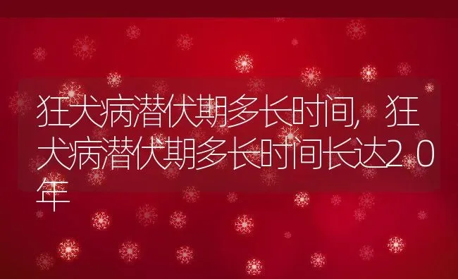 狂犬病潜伏期多长时间,狂犬病潜伏期多长时间长达20年 | 宠物百科知识