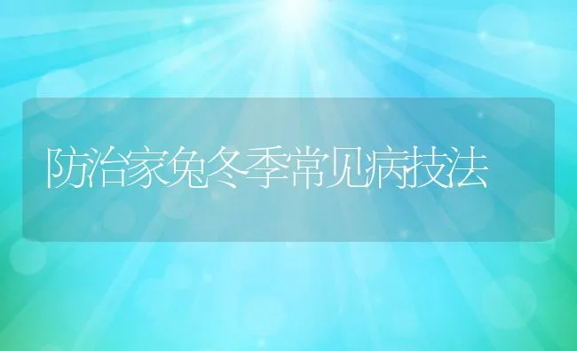 防治家兔冬季常见病技法 | 动物养殖学堂