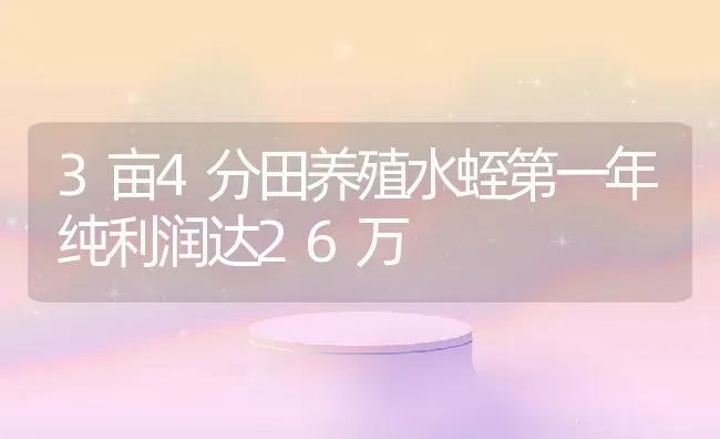 3亩4分田养殖水蛭第一年纯利润达26万 | 动物养殖教程