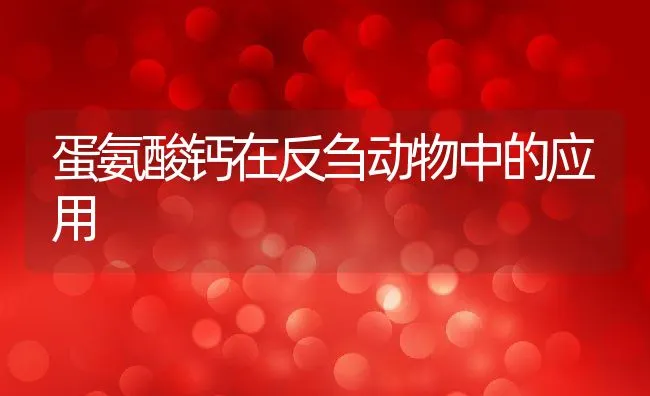 本市建专业队培育蜜蜂授粉 农业总增产值达6亿 | 动物养殖学堂