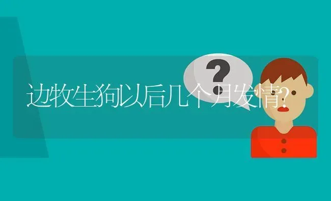 边牧生狗以后几个月发情？ | 动物养殖问答