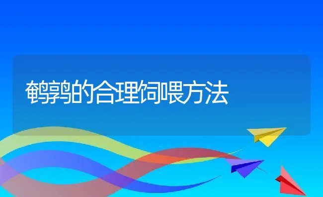 鹌鹑的合理饲喂方法 | 水产养殖知识