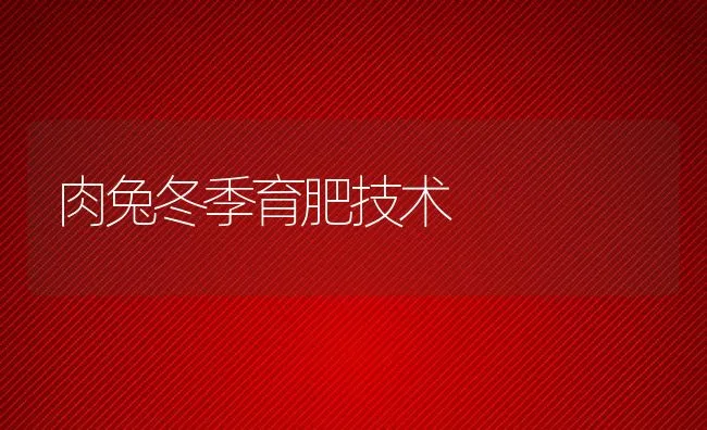 肉兔冬季育肥技术 | 水产养殖知识