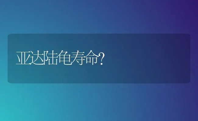 亚达陆龟寿命？ | 动物养殖问答