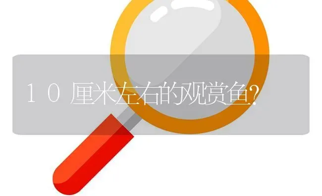 10厘米左右的观赏鱼？ | 鱼类宠物饲养