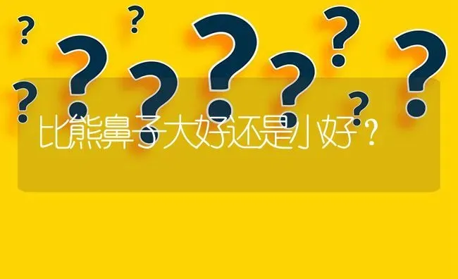 比熊鼻子大好还是小好？ | 动物养殖问答