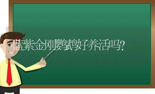 蓝紫金刚鹦鹉好养活吗？ | 动物养殖问答