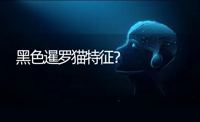 黑色暹罗猫特征？ | 动物养殖问答