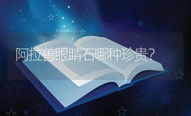 阿拉善眼睛石哪种珍贵？ | 鱼类宠物饲养