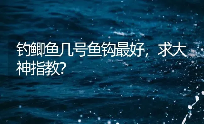 钓鲫鱼几号鱼钩最好，求大神指教？ | 鱼类宠物饲养