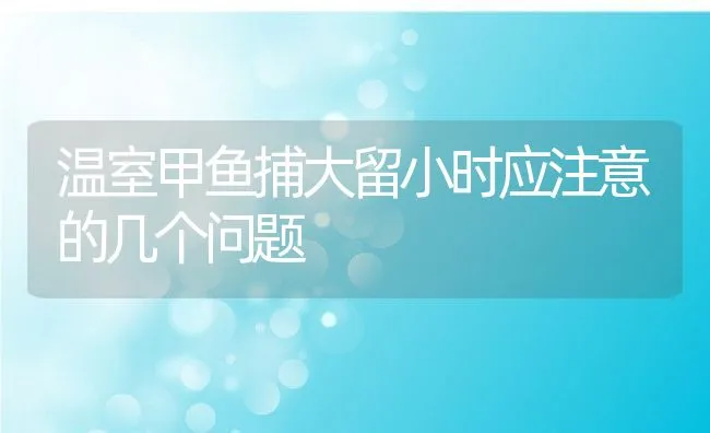 温室甲鱼捕大留小时应注意的几个问题 | 动物养殖饲料