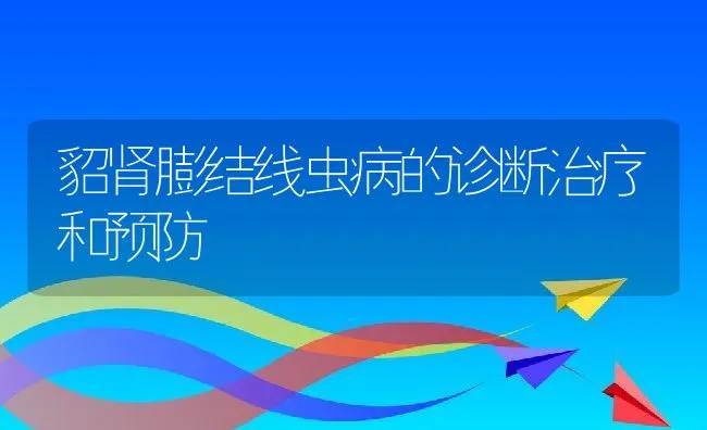 貂肾膨结线虫病的诊断治疗和预防 | 水产养殖知识